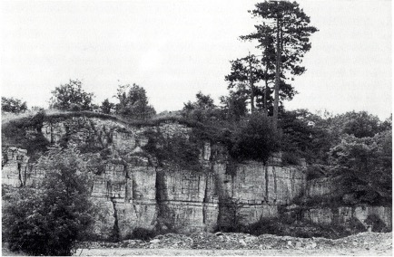 Kalksteinformation am Beilingsberg (Richtung Borchen)